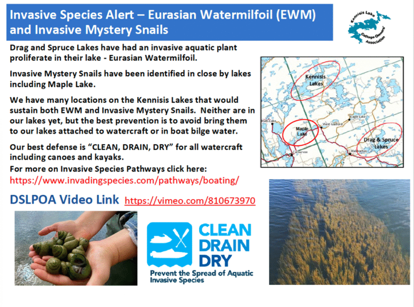 Invasive Species Alert