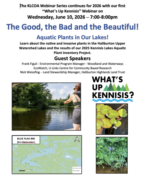 New 2026 What’s Up Kennisis Webinar